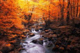 Herbstimpressionen Harz.jpg